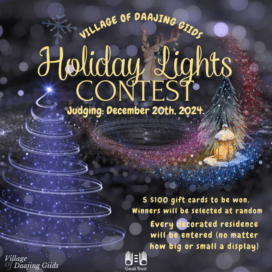 Holiday Lights Contest (900 x 900 px)